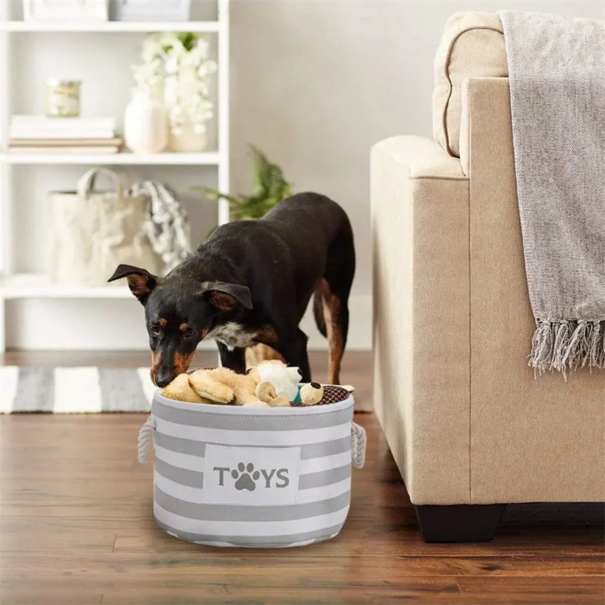 SpaceyHome™ Foldable Pet Storage Basket | Clean & Organized Living